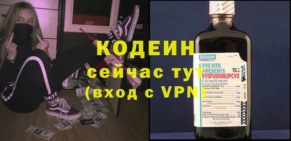 гашик Богданович